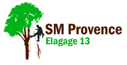 elagage-sm-provence